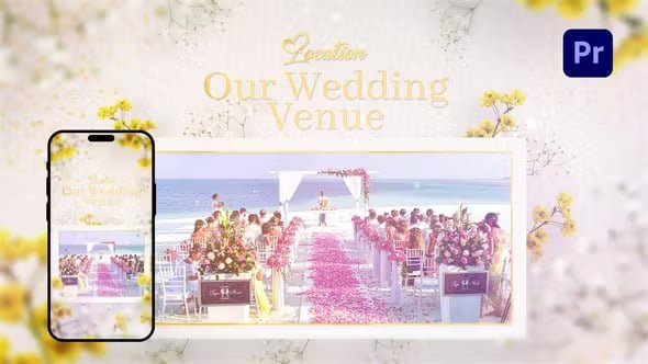 Wedding Invitation 43444640 Videohive
