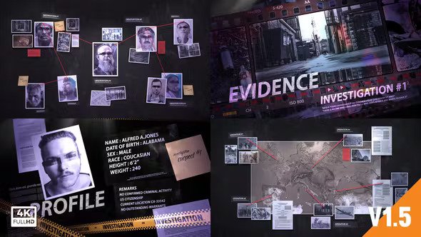 Investigation Detective Pack 25102603 Videohive
